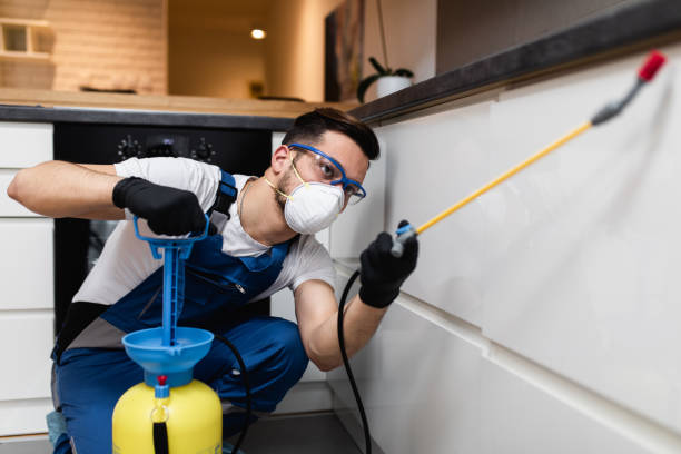 Pest Control for Restaurants in Beulaville, NC