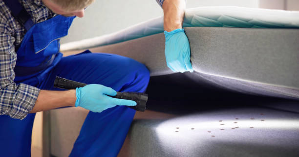 Best Commercial Pest Control Services  in Beulaville, NC