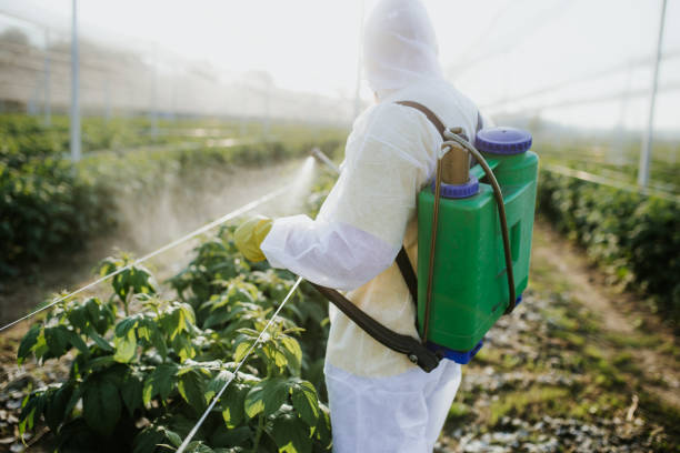 Best Exterminator Services  in Beulaville, NC